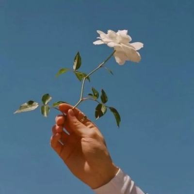 九游会AG手机app下载截图